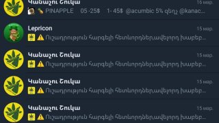 Case of Large-Scale Online Illegal Turnover of Narcotic Drugs and for this Purpose, Launching a Separate Process Management System, Money Laundering, Committed by Spouses, Disclosed; Charge Pressed against Them (photos)